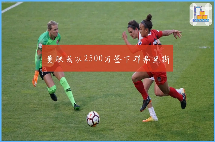 曼联或以2500万签下邓弗里斯