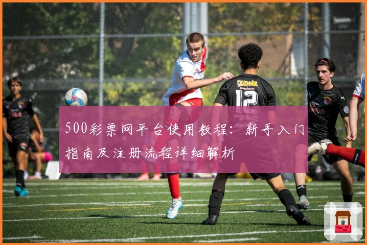 500彩票网平台使用教程：新手入门指南及注册流程详细解析